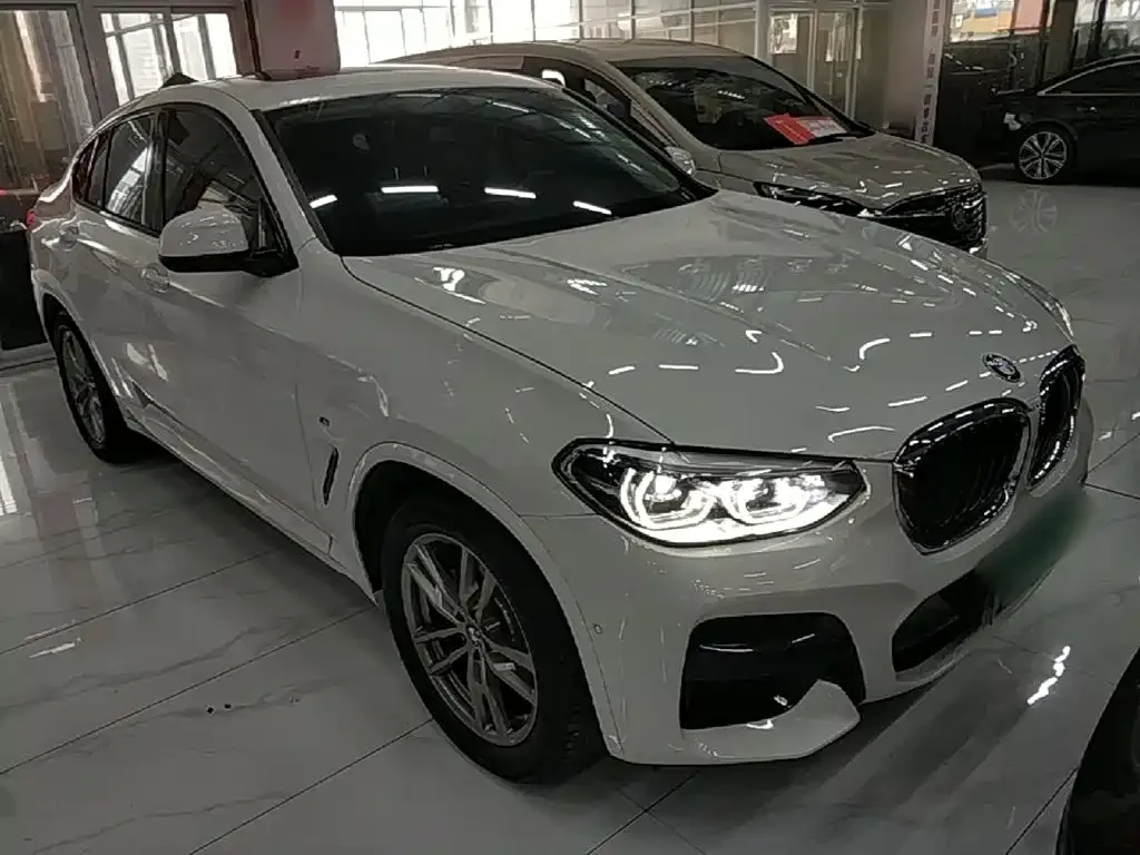 BMW X4 — фото 6