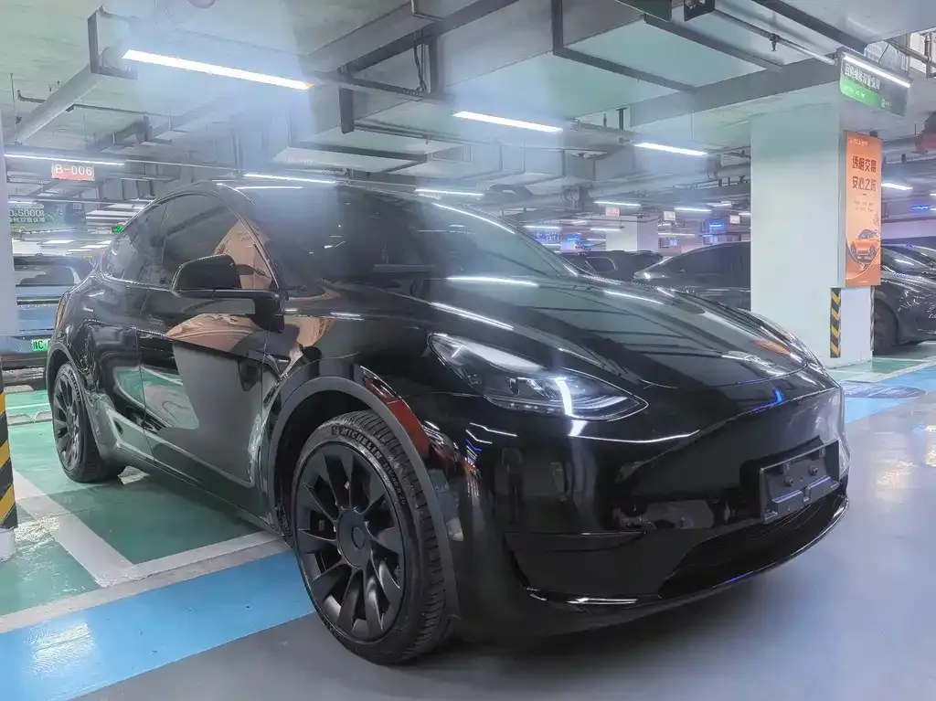 Tesla Model Y — фото 10