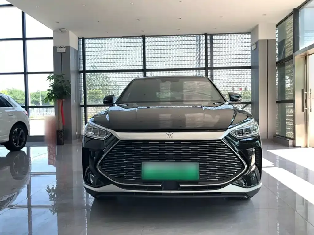 BYD PLUS New Energy — фото 2