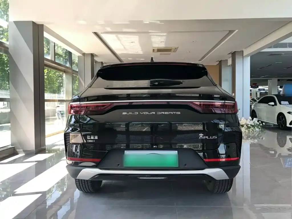 BYD PLUS New Energy — фото 4