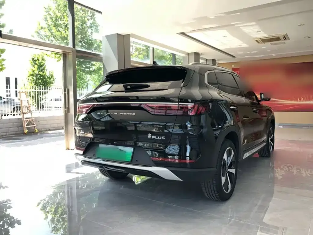 BYD PLUS New Energy — фото 3