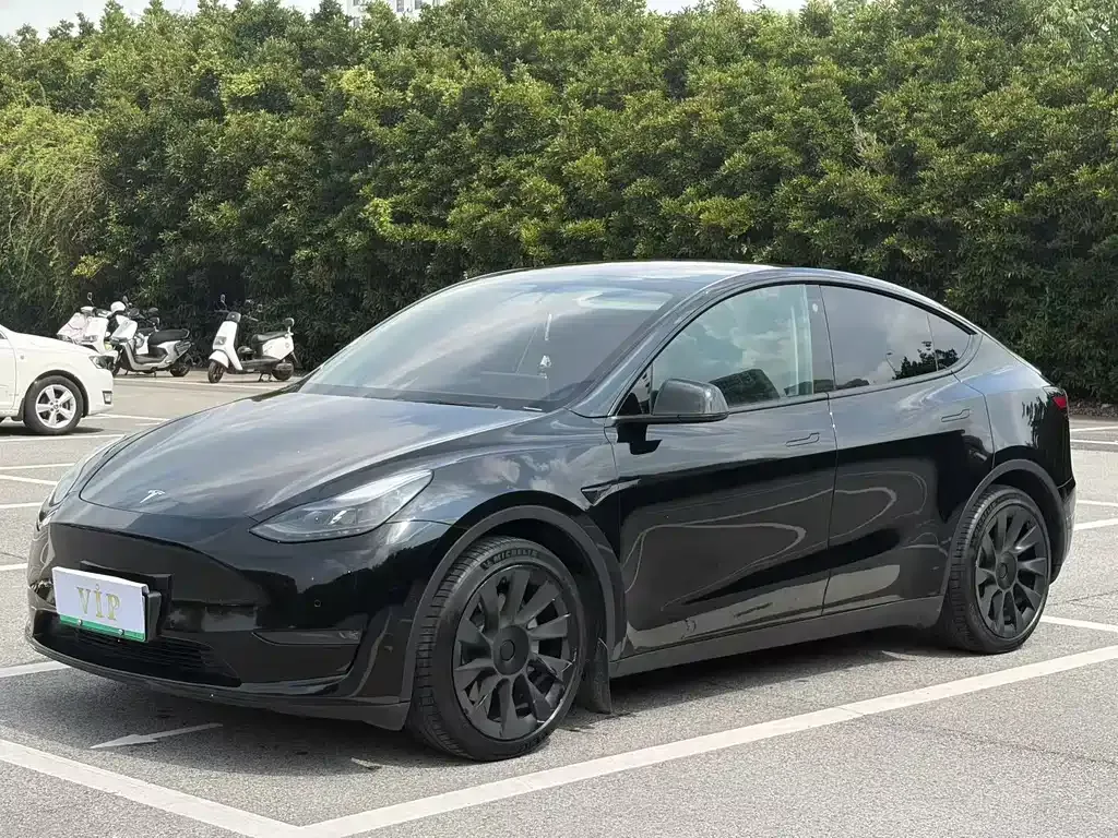 Tesla Model Y — фото 1