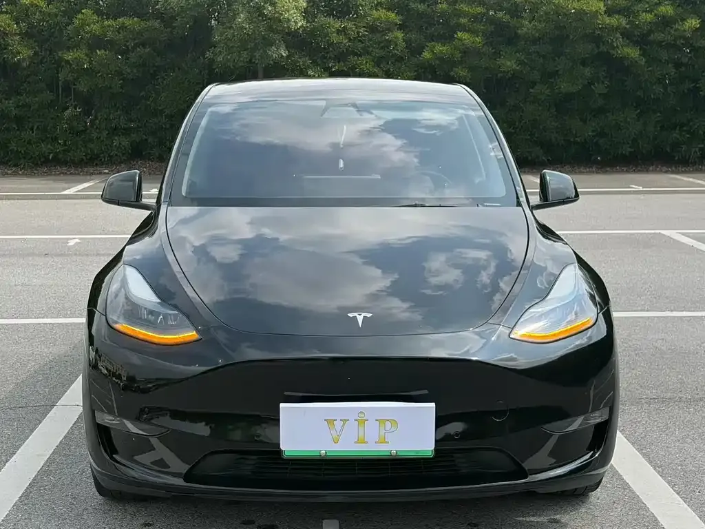 Tesla Model Y — фото 5