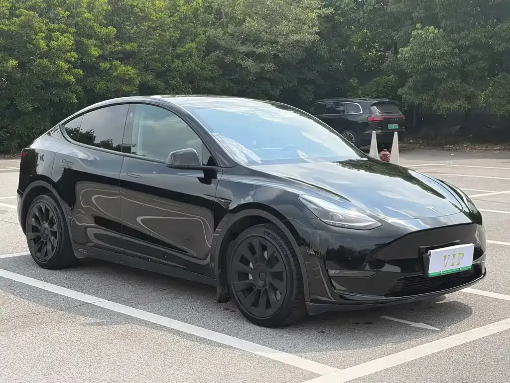 Tesla Model Y — фото 4