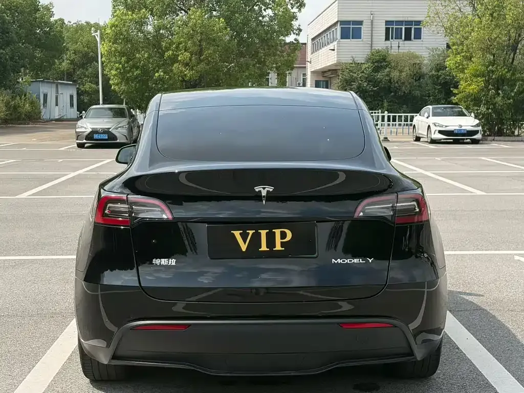 Tesla Model Y — фото 8