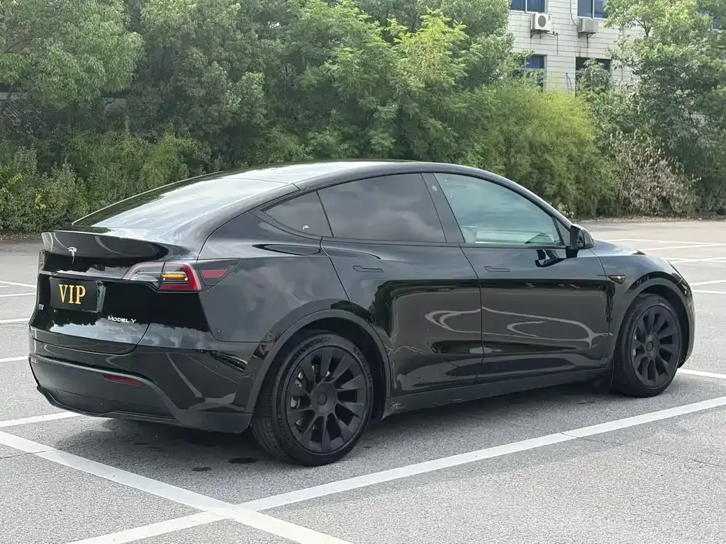 Tesla Model Y — фото 9