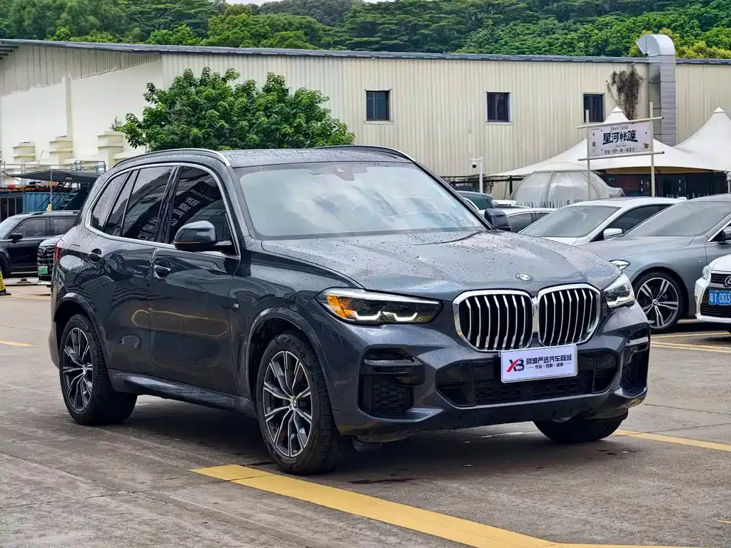 BMW X5 (Import) — фото 8