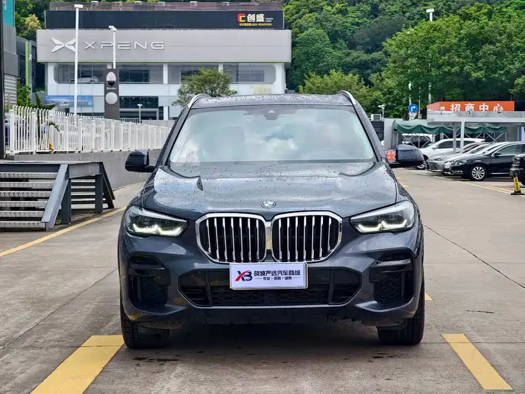 BMW X5 (Import) — фото 9