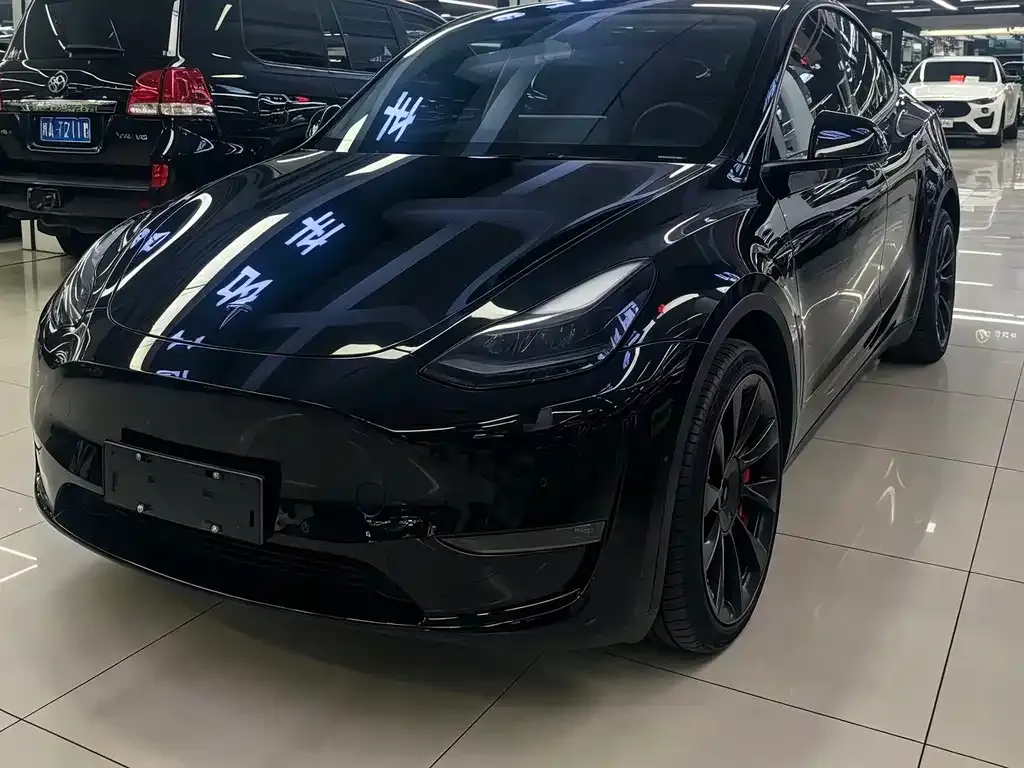 Tesla Model Y — фото 1