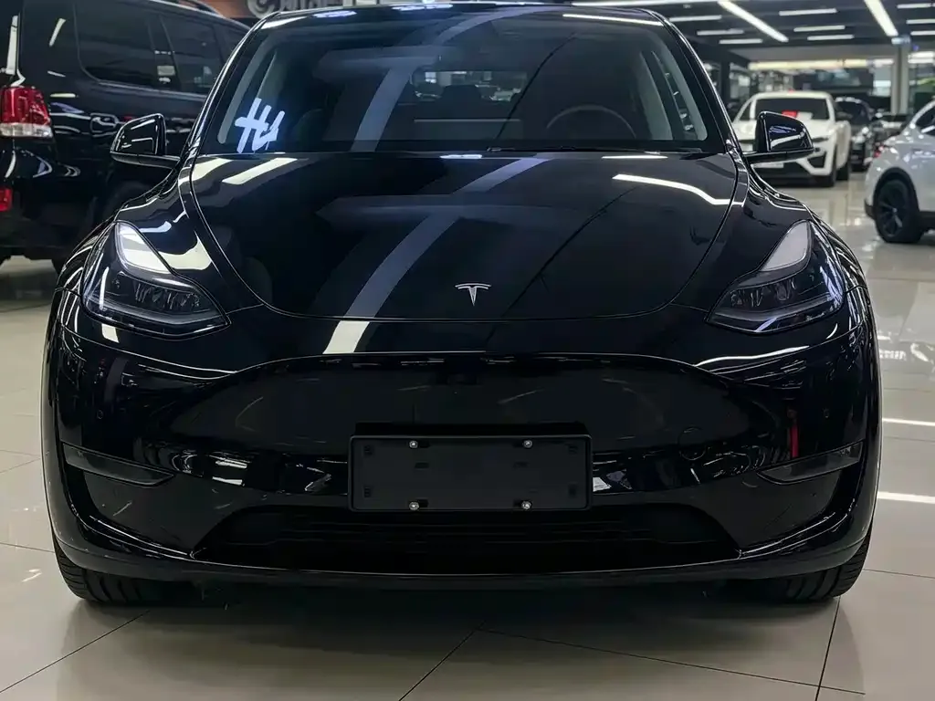 Tesla Model Y — фото 5