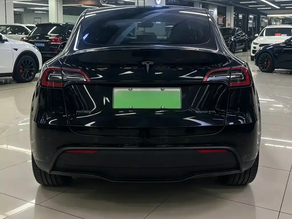 Tesla Model Y — фото 8