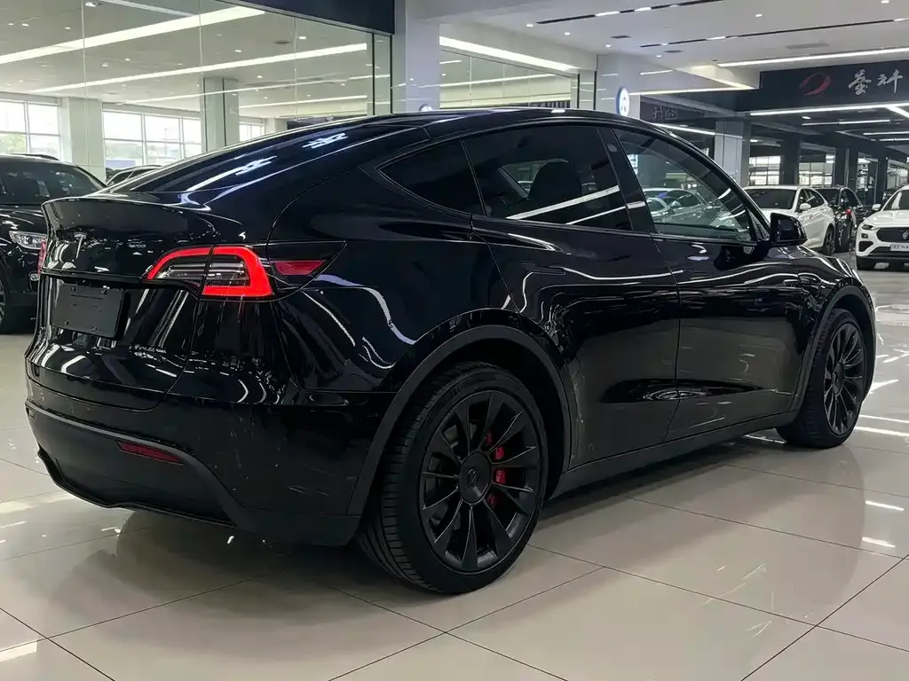 Tesla Model Y — фото 7