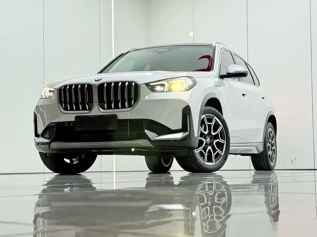 BMW X1 — фото 9
