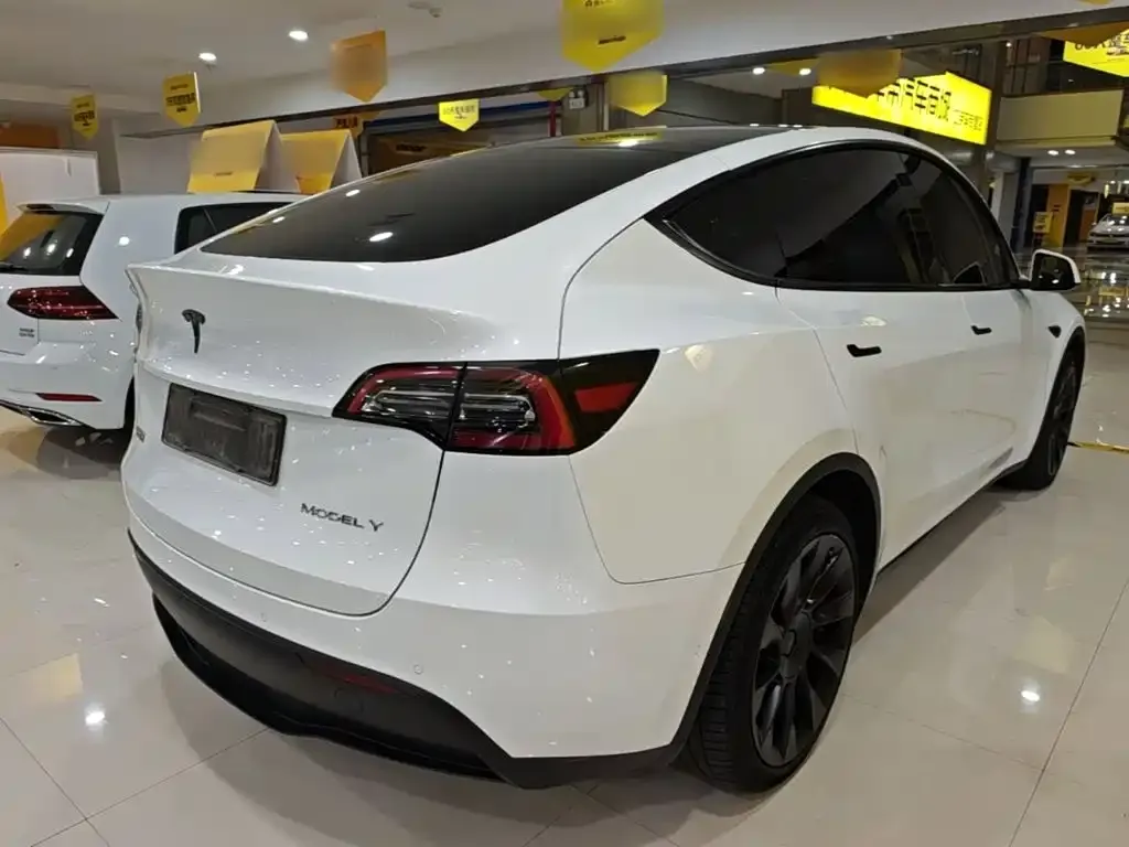 Tesla Model Y — фото 3