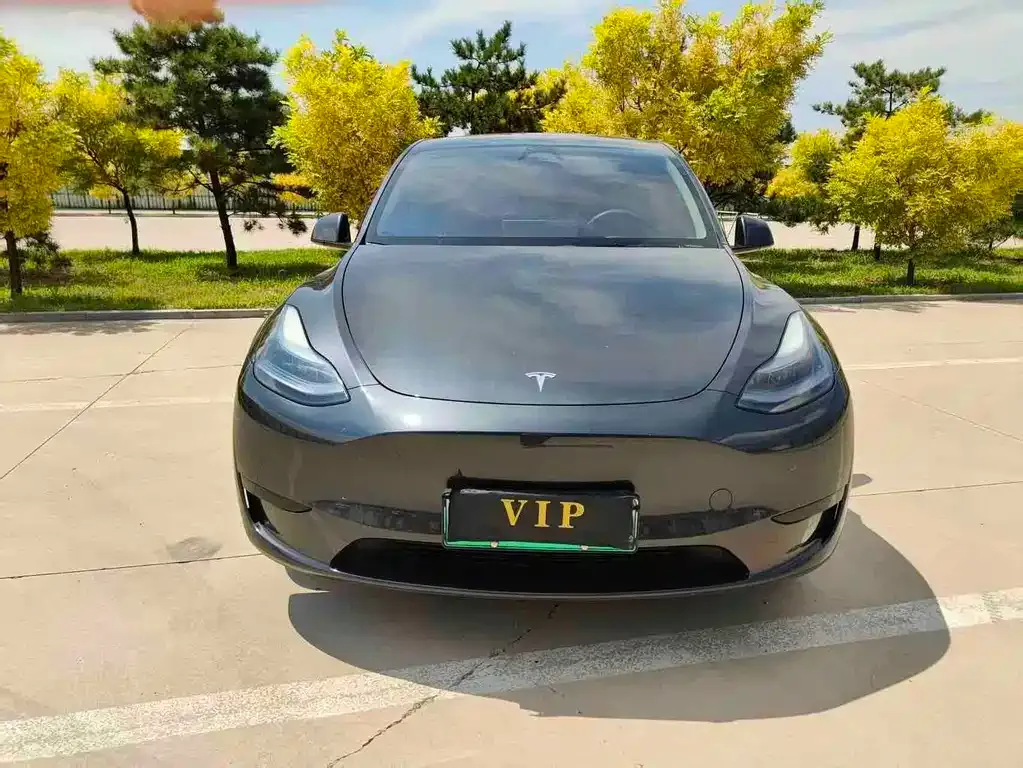 Tesla Model Y — фото 6