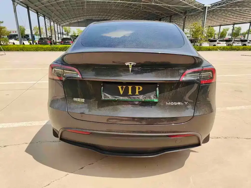 Tesla Model Y — фото 3