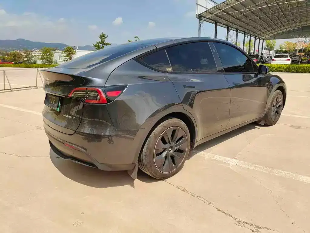 Tesla Model Y — фото 8