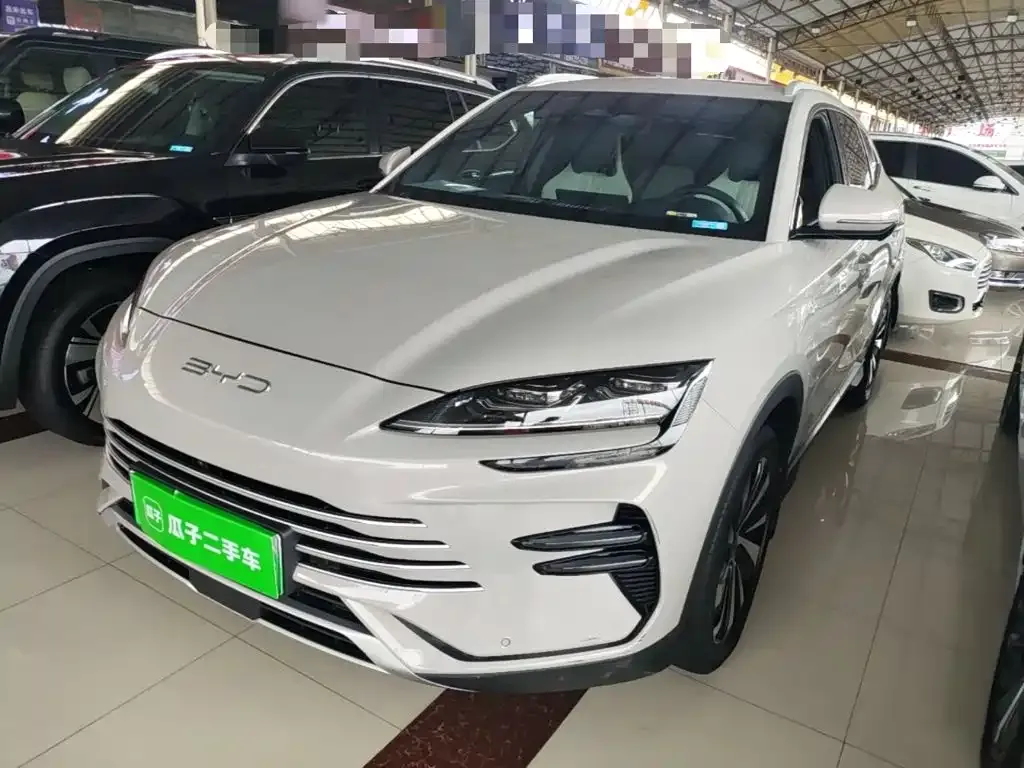 BYD PLUS New Energy — фото 10