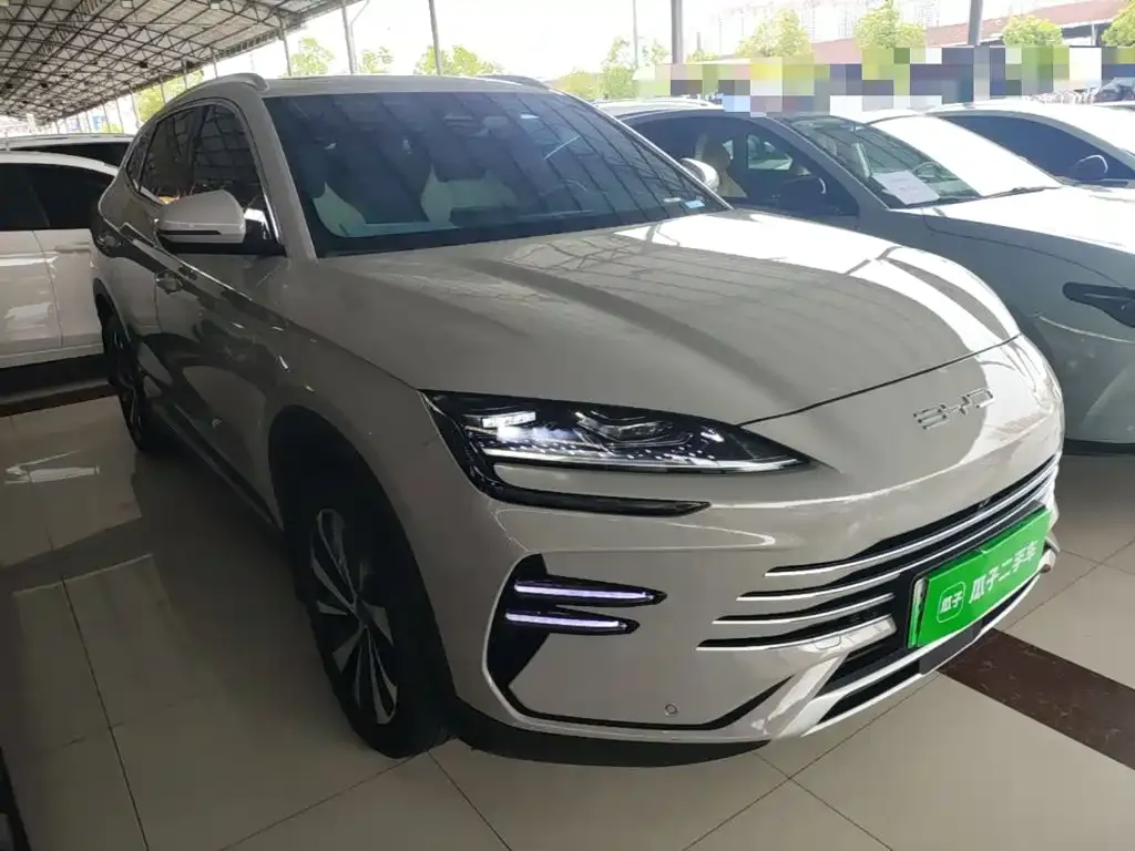 BYD PLUS New Energy — фото 9
