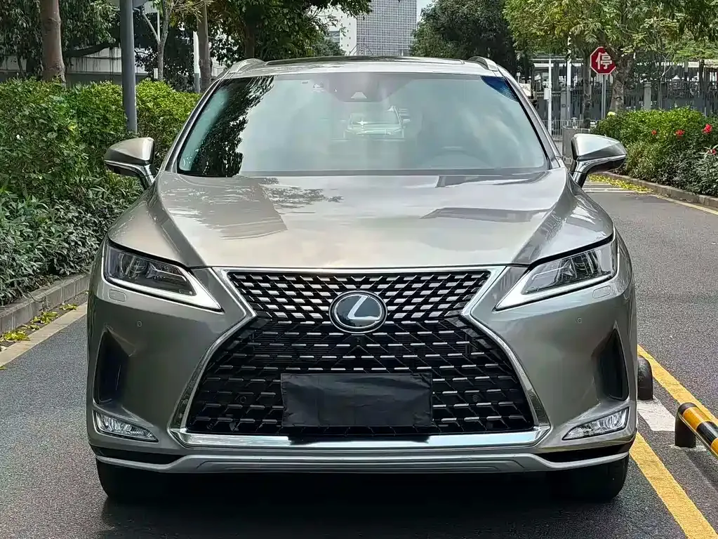 Lexus RX — фото 8