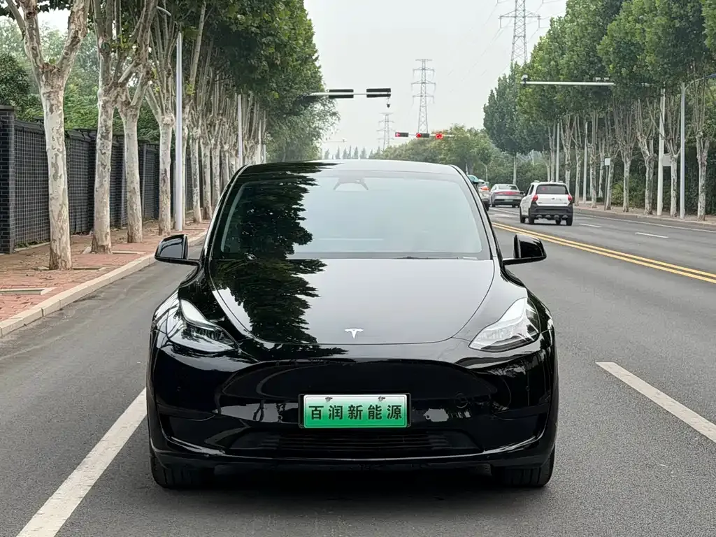 Tesla Model Y — фото 1
