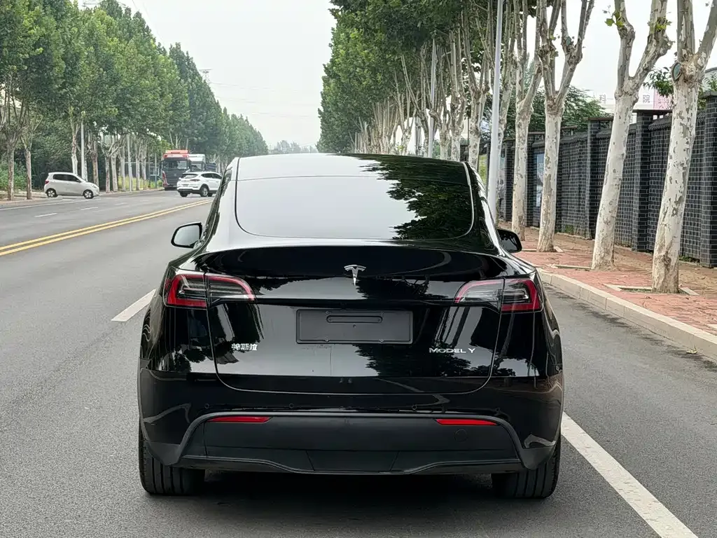 Tesla Model Y — фото 7