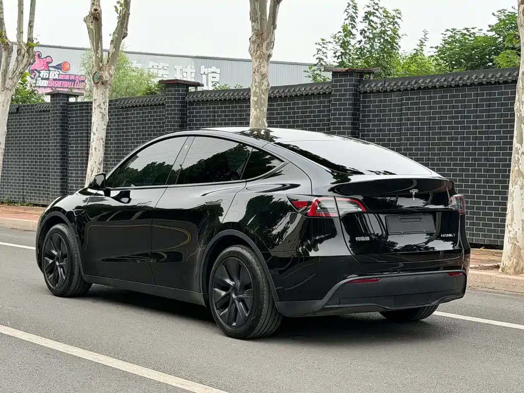 Tesla Model Y — фото 8