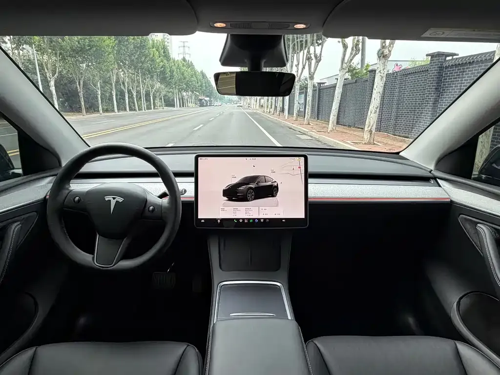 Tesla Model Y — фото 3
