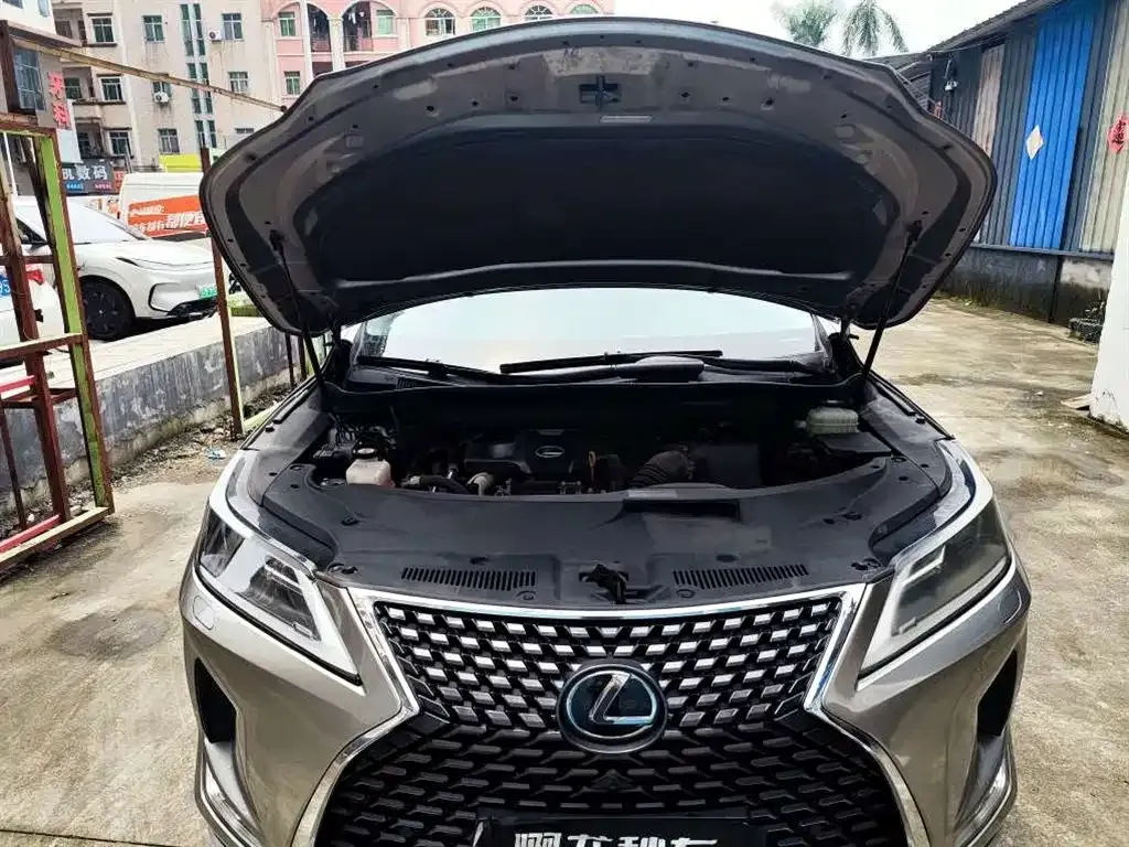 Lexus RX — фото 10