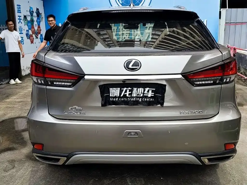 Lexus RX — фото 9