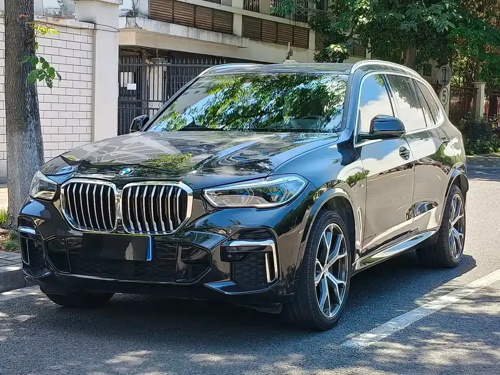 BMW X5 (Import) — фото 1