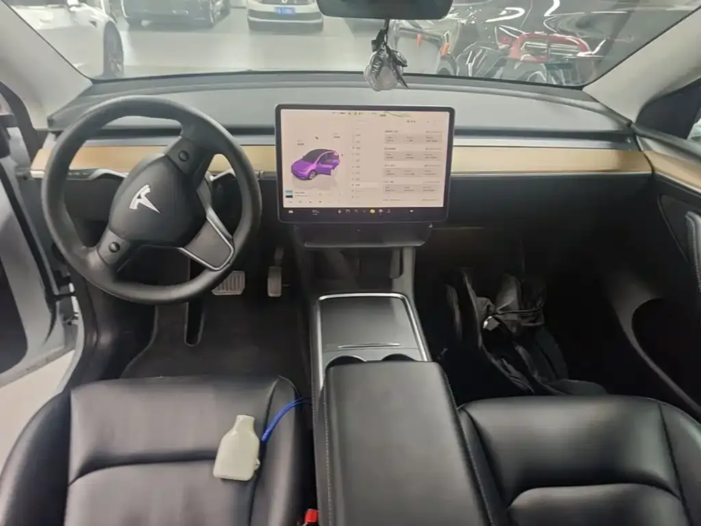 Tesla Model Y — фото 9