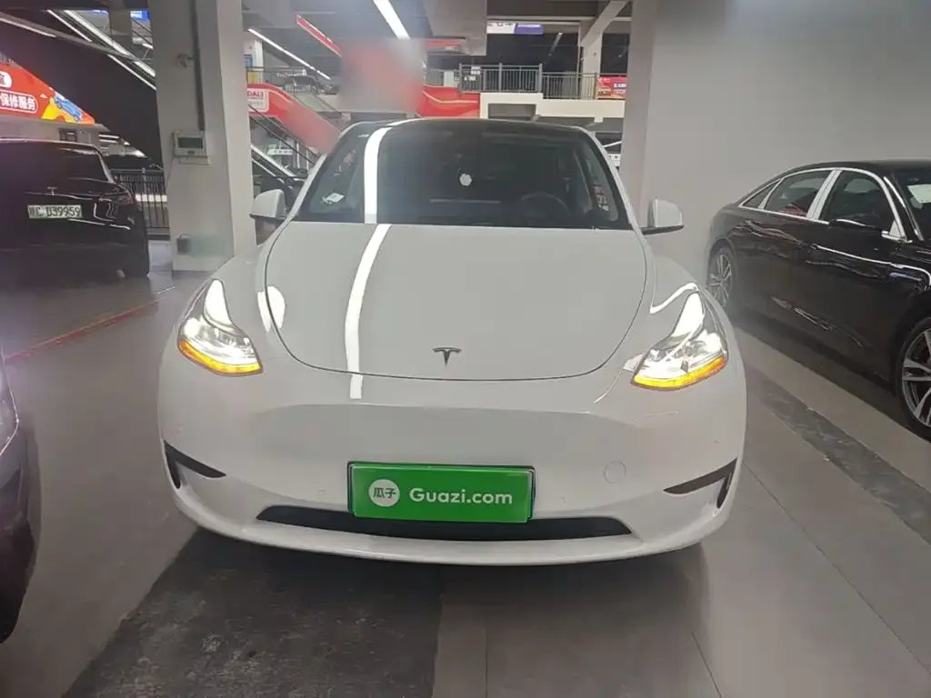 Tesla Model Y — фото 10