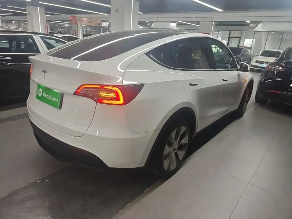 Tesla Model Y — фото 8