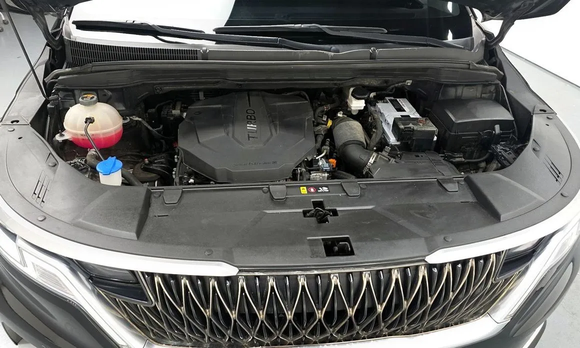 Kia Carnival — фото 10