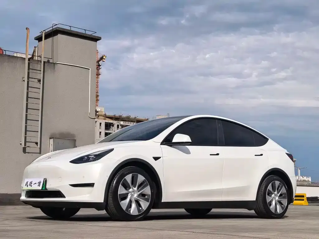 Tesla Model Y — фото 1