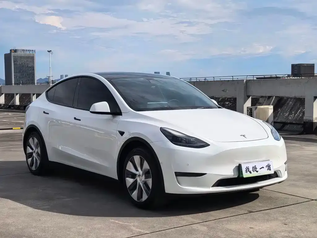 Tesla Model Y — фото 6