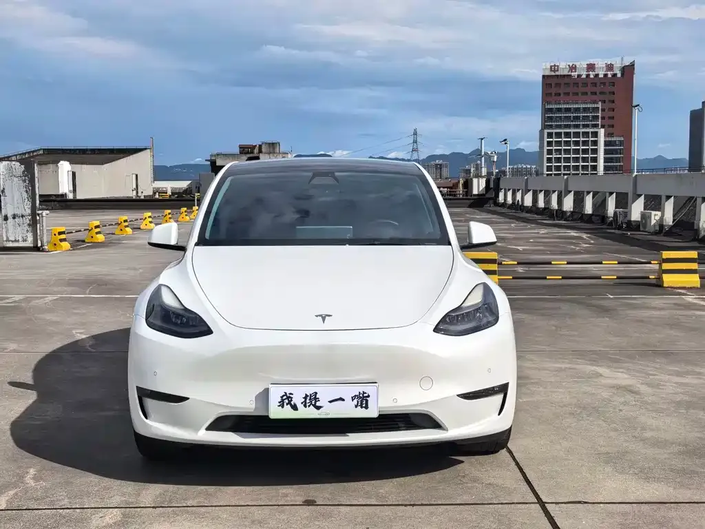 Tesla Model Y — фото 4