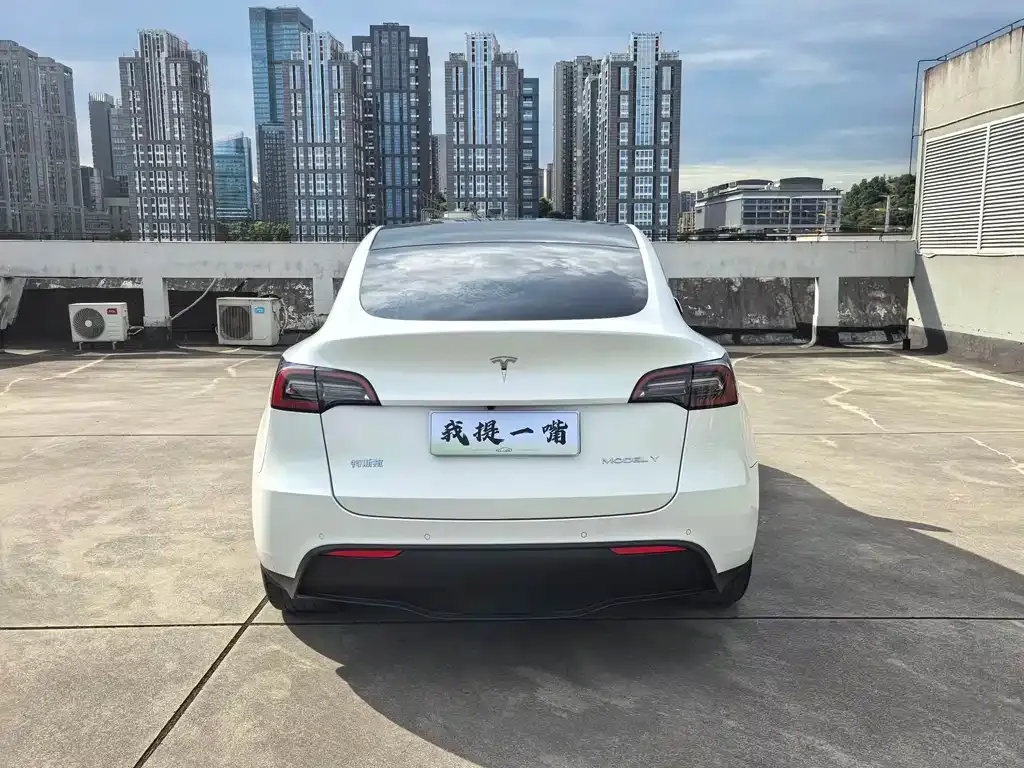 Tesla Model Y — фото 5