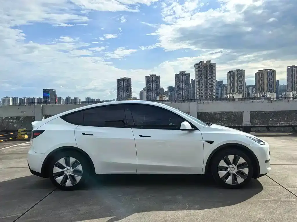 Tesla Model Y — фото 3