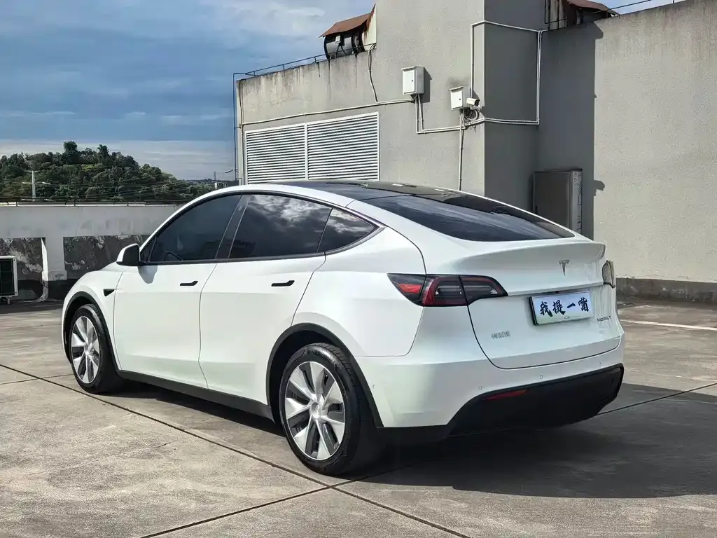 Tesla Model Y — фото 2