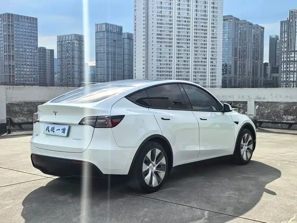 Tesla Model Y — фото 7