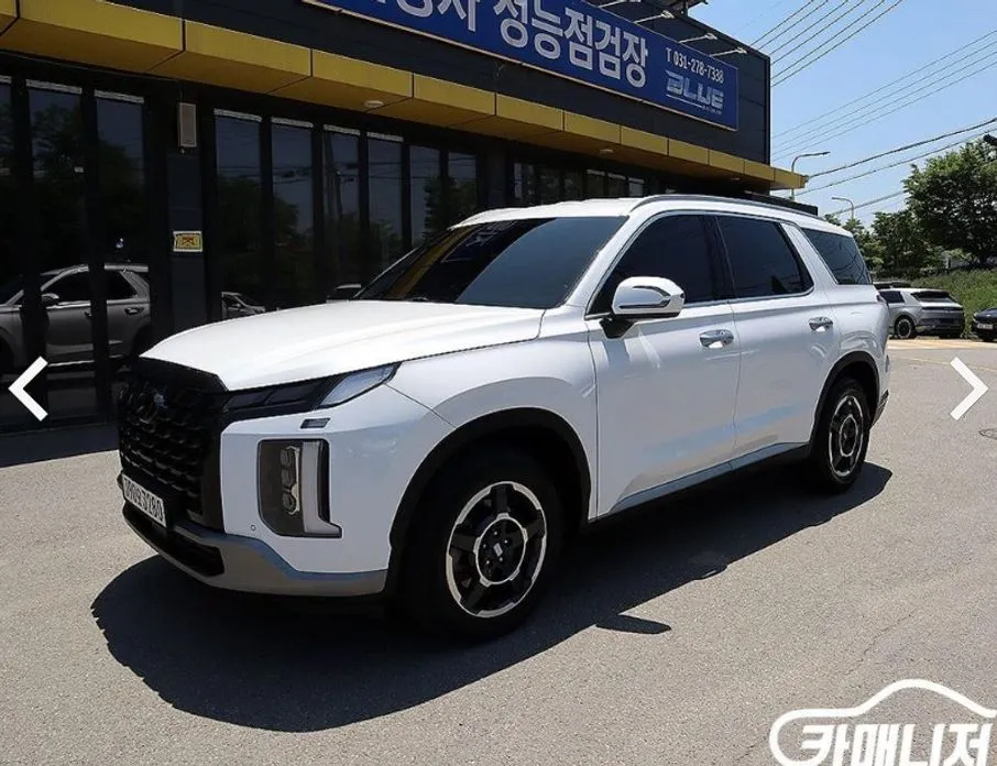 Hyundai Palisade — фото 10