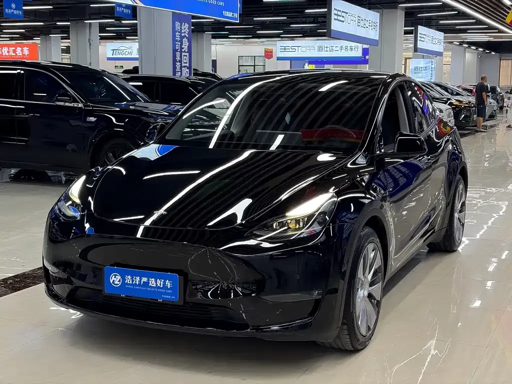 Tesla Model Y — фото 1