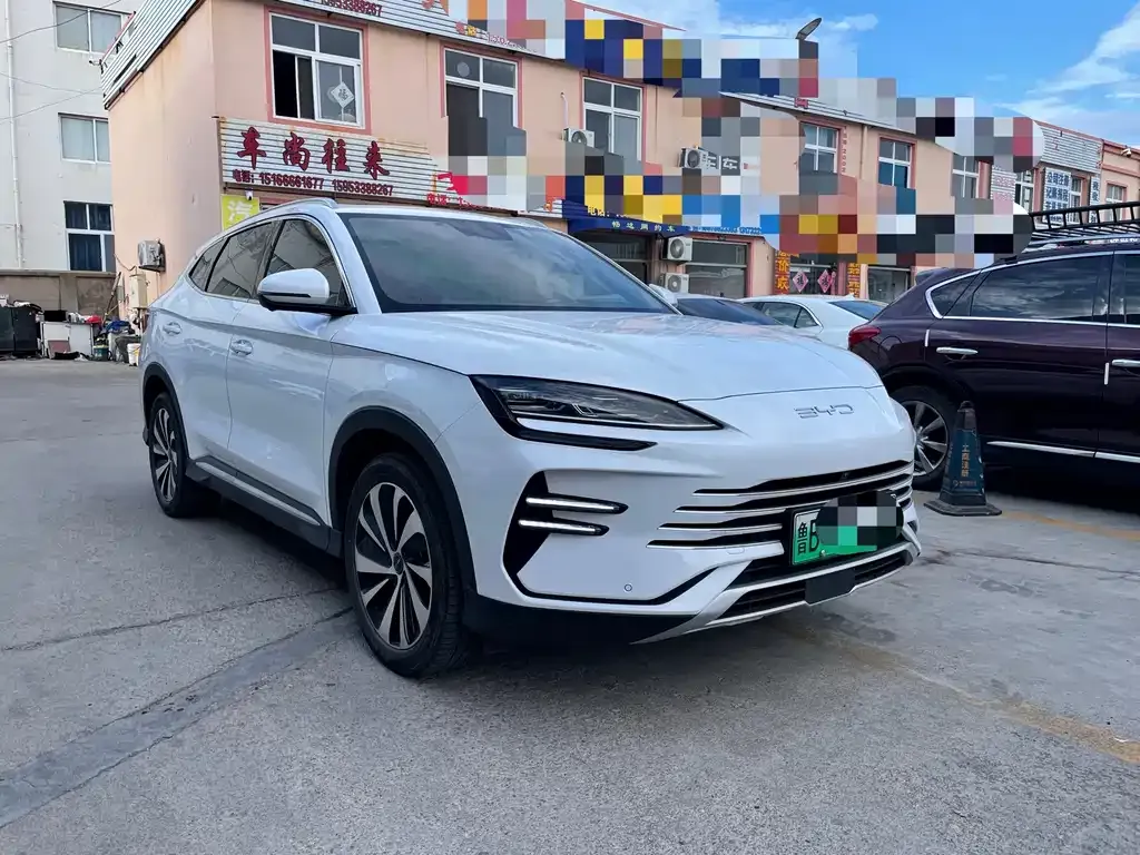 BYD PLUS New Energy — фото 4