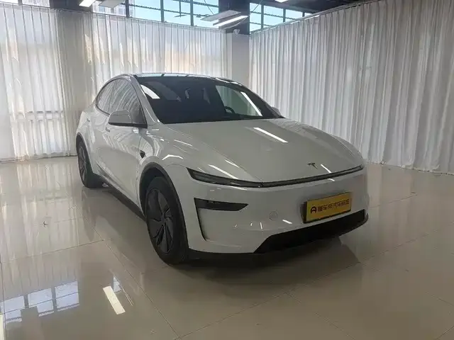 Tesla Model Y — фото 9