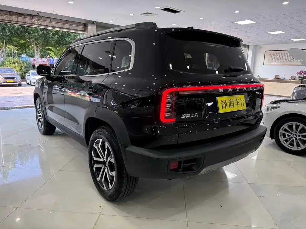 Haval Big Dog — фото 7