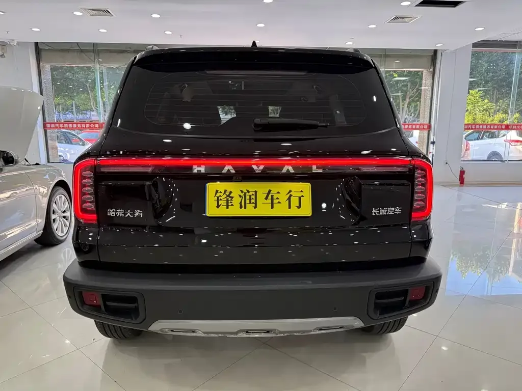 Haval Big Dog — фото 4