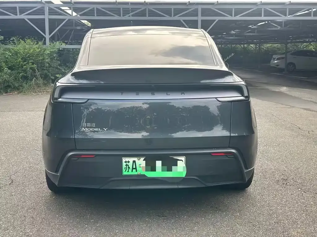 Tesla Model Y — фото 2