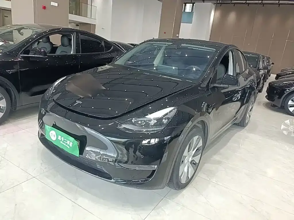 Tesla Model Y — фото 10